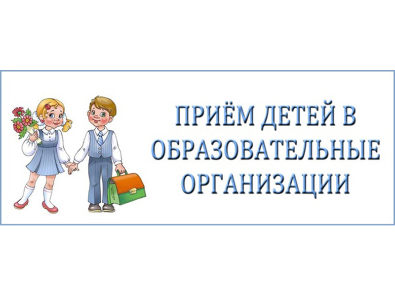 Правила приема, перевода, отчисления.